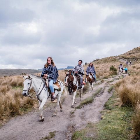 Students ride horses over a mountain ridge in Ecudaor as part of the Lehigh Launch Program