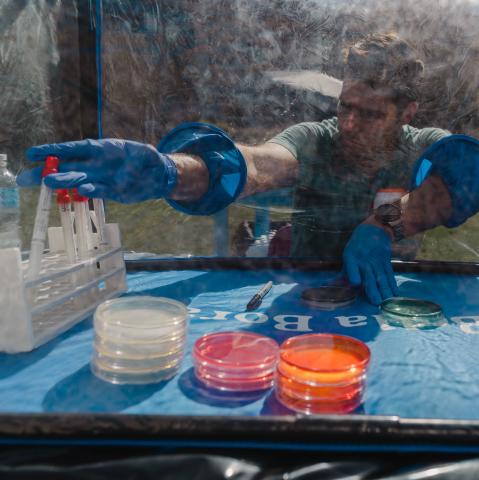 Lorenzo Servitje swabs samples in a small clear tent