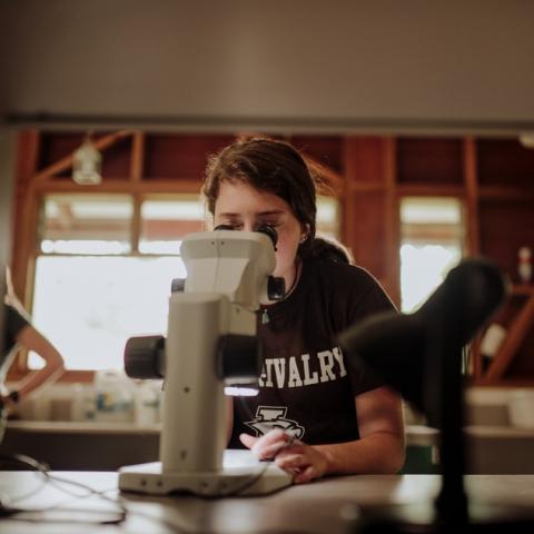 Courtney Giardina looks through a microscope in Costa Rica