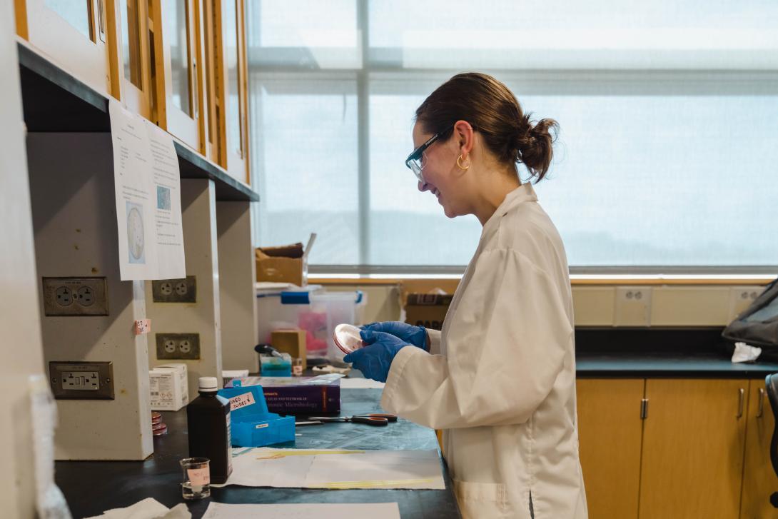 A student examines a petri dish in a lab