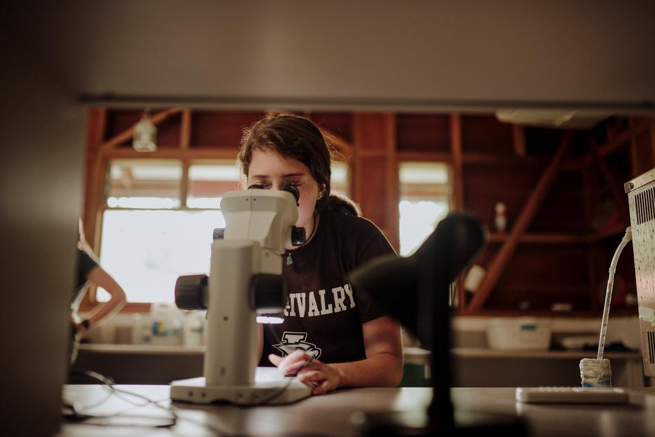 Courtney Giardina looks into a microscope 