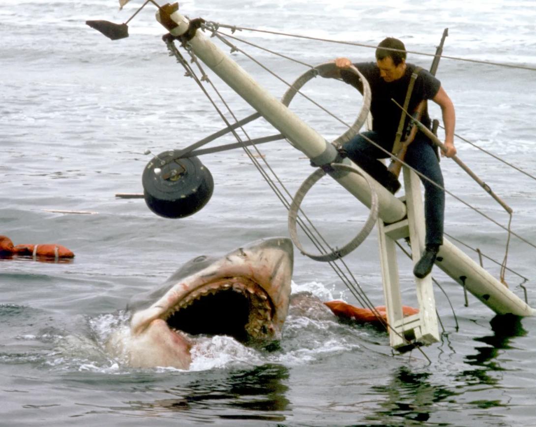 Chief Brody (Roy Scheider) battles a (mechanical) great white shark in the climatic moments of "Jaws," a movie that still strikes fear in summer revelers everywhere.